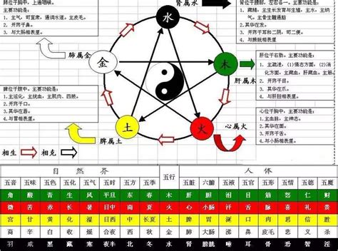 五行十干|天干